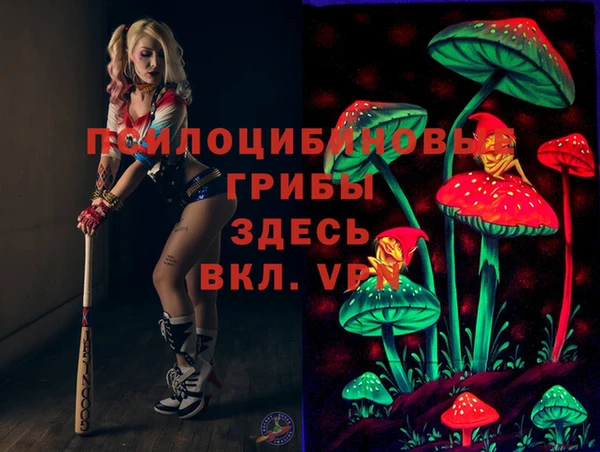 героин Алексин
