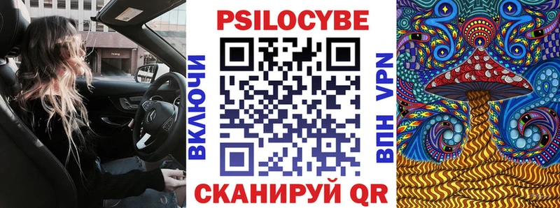 Псилоцибиновые грибы прущие грибы Гуково