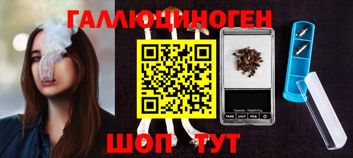 Псилоцибиновые грибы Psilocybe  Вход с VPN  Гуково 